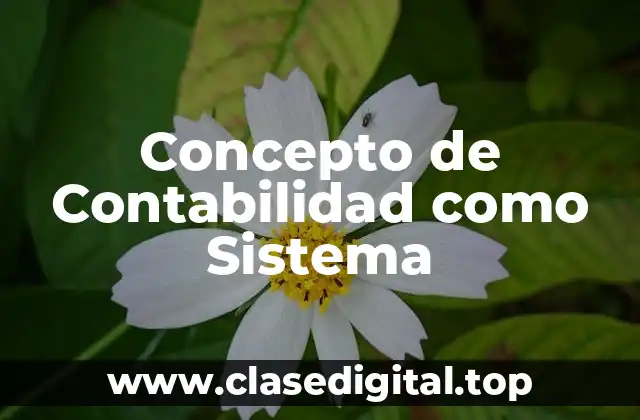 Concepto de Contabilidad como Sistema