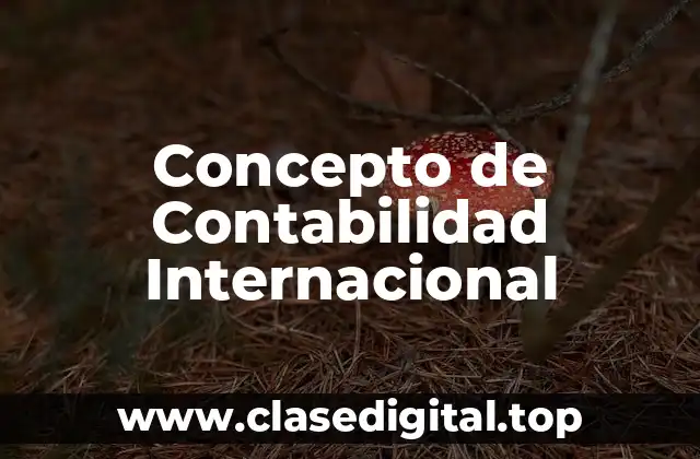 Concepto de Contabilidad Internacional