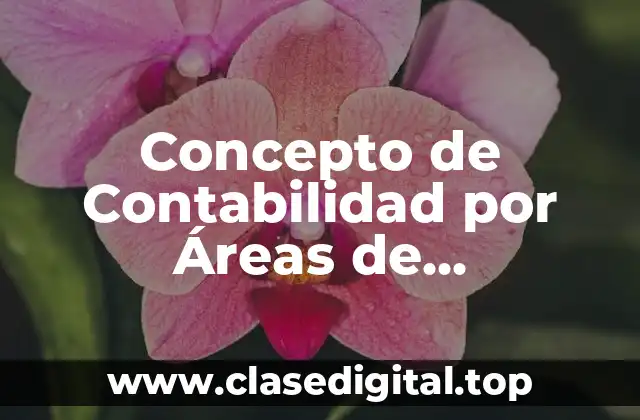 Concepto de Contabilidad por Áreas de Responsabilidad