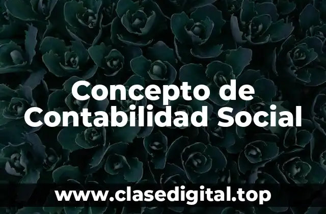 Concepto de Contabilidad Social