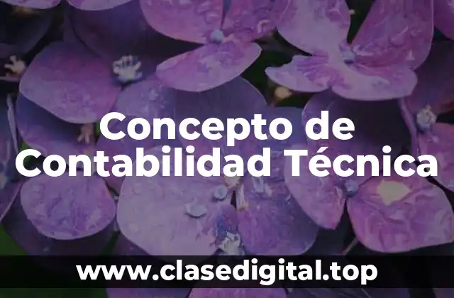 Concepto de Contabilidad Técnica