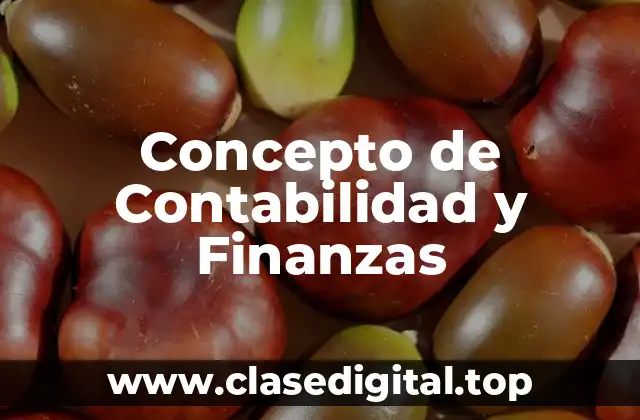 Concepto de Contabilidad y Finanzas