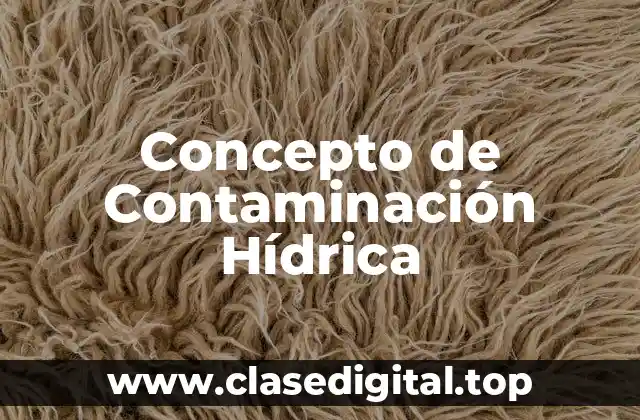 Concepto de Contaminación Hídrica