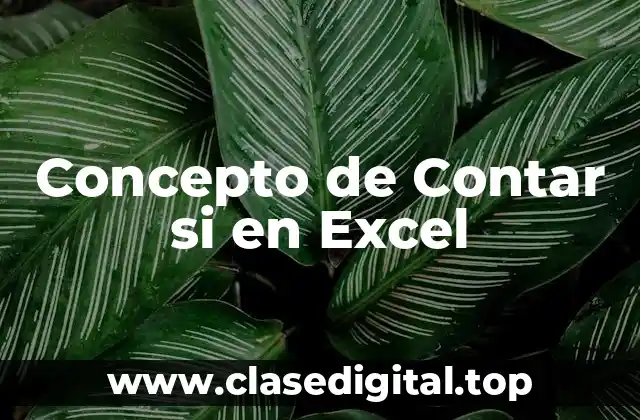 Concepto de Contar si en Excel