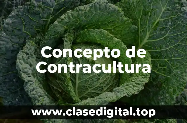 Concepto de Contracultura