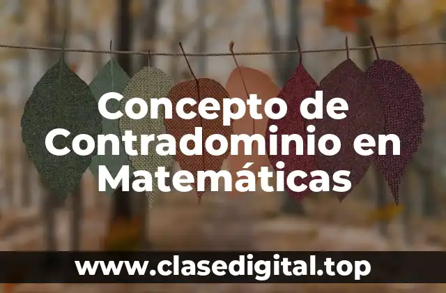 📗 ¿Qué es Contradominio?