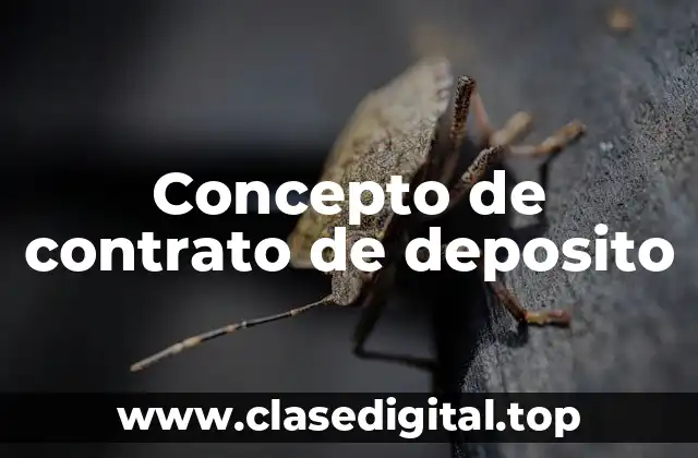 Concepto de contrato de deposito