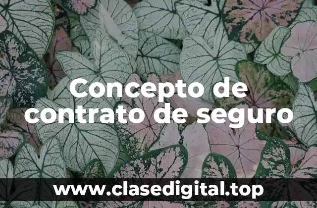 Concepto de contrato de seguro