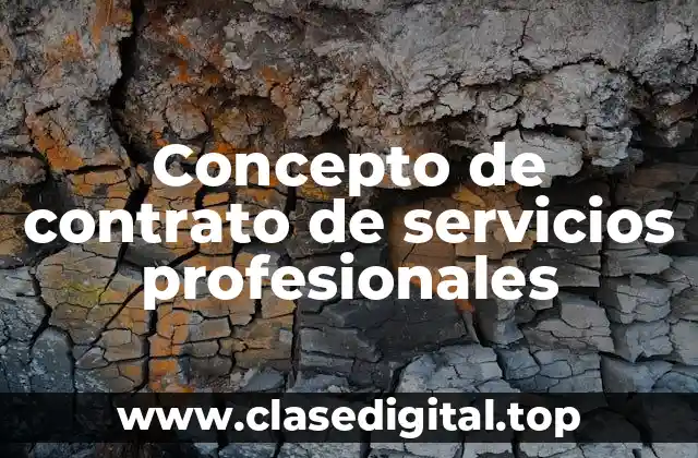 Concepto de contrato de servicios profesionales