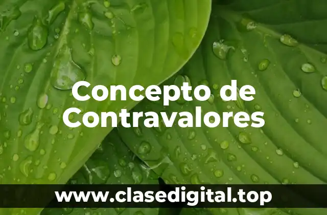 Concepto de Contravalores