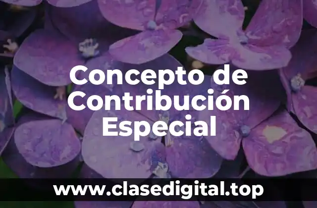 Concepto de Contribución Especial