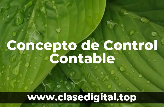 Concepto de Control Contable