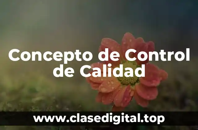 Concepto de Control de Calidad