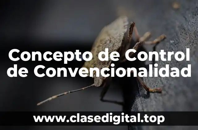 Concepto de Control de Convencionalidad