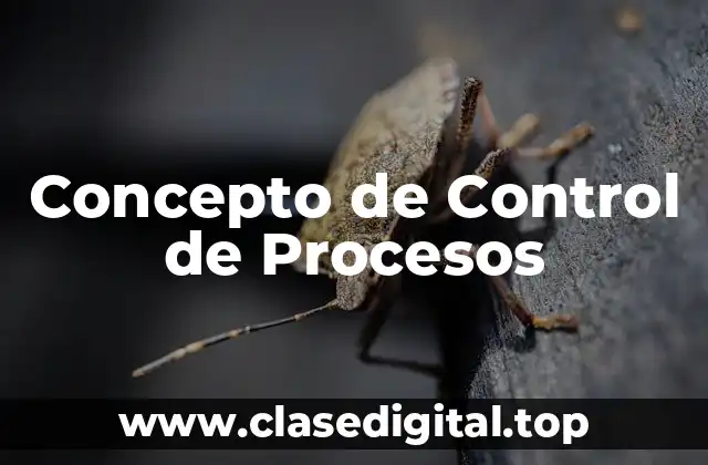Concepto de Control de Procesos