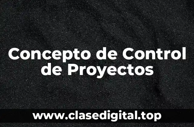 Concepto de Control de Proyectos
