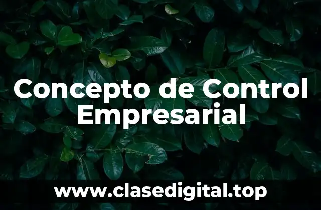 Concepto de Control Empresarial