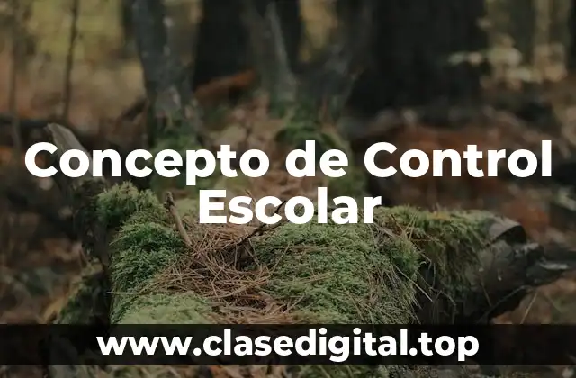 Concepto de Control Escolar