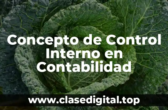 Concepto de Control Interno en Contabilidad