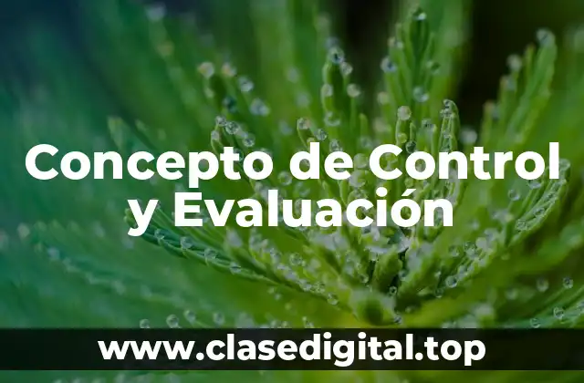 Concepto de Control y Evaluación