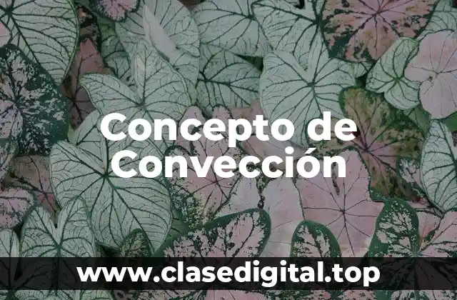 Concepto de Convección