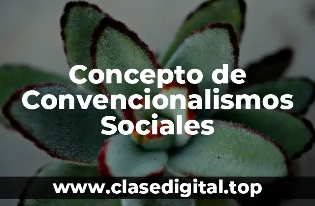 Concepto de Convencionalismos Sociales