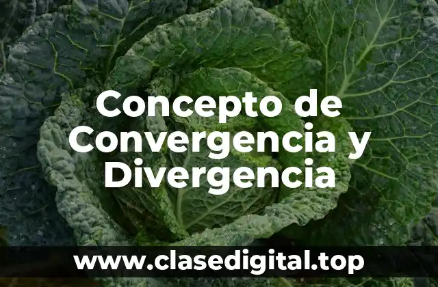 Concepto de Convergencia y Divergencia