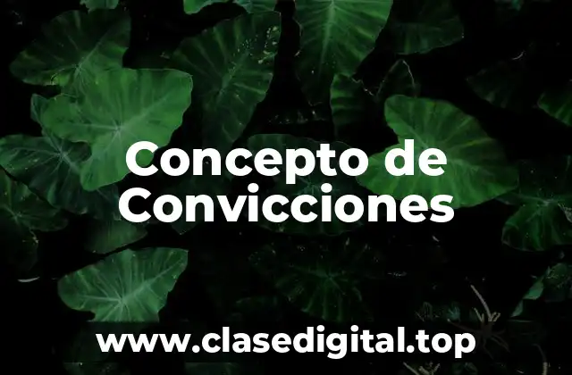 Concepto de Convicciones