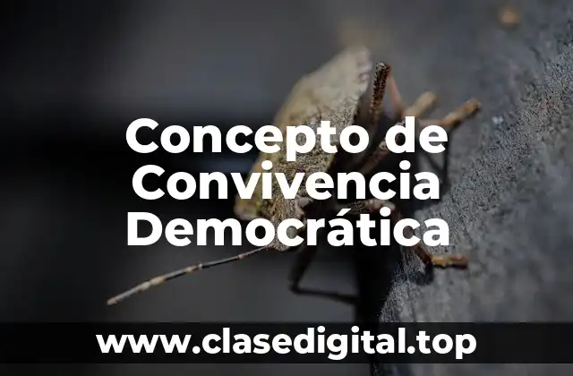 Concepto de Convivencia Democrática