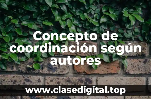 Concepto de coordinación según autores
