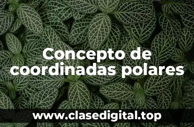 Concepto de coordinadas polares