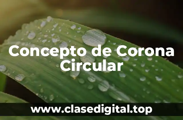 Concepto de Corona Circular