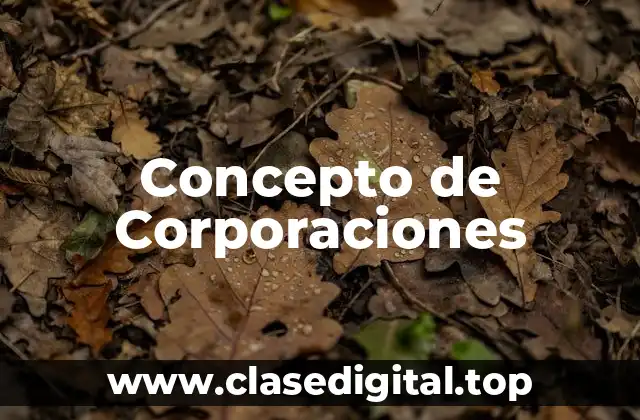 Concepto de Corporaciones