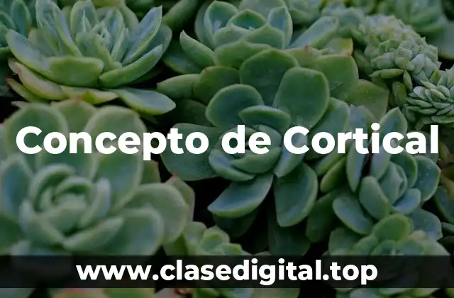 Concepto de Cortical