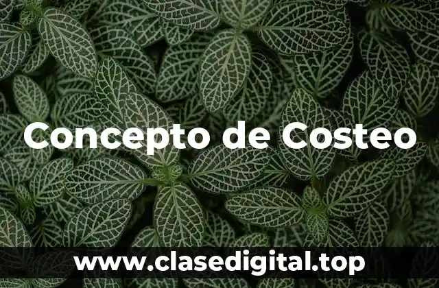 Concepto de Costeo