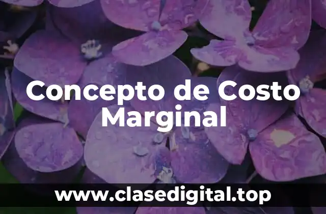 Concepto de Costo Marginal