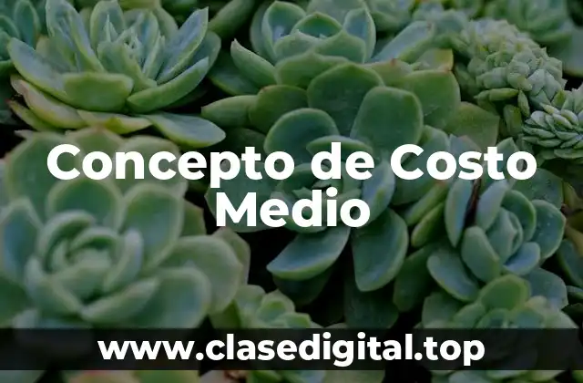 Concepto de Costo Medio