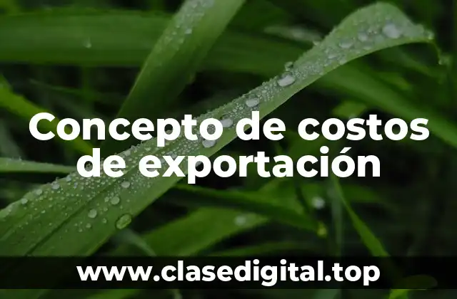Concepto de costos de exportación