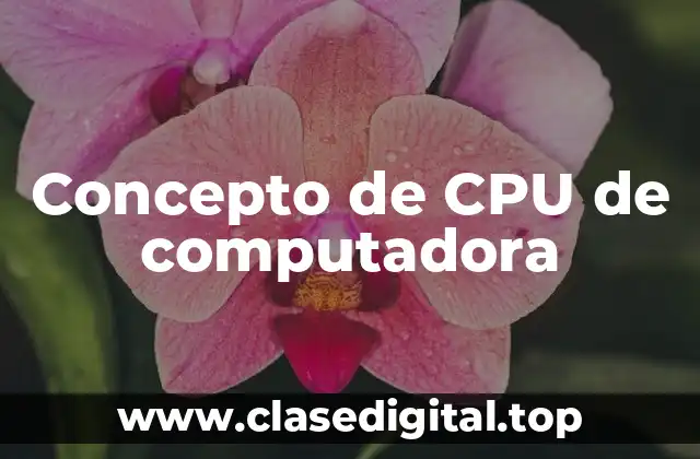 Concepto de CPU de computadora