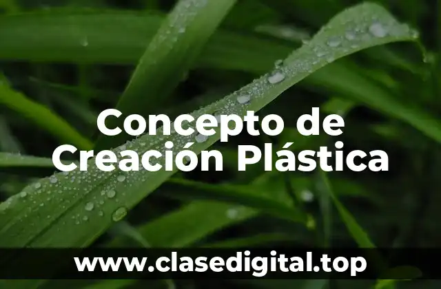 Concepto de Creación Plástica