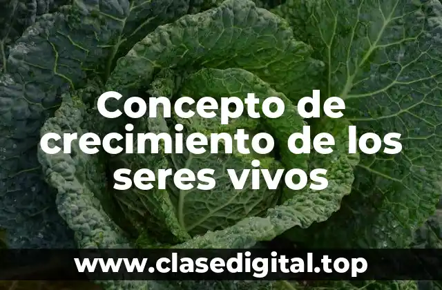 Concepto de crecimiento de los seres vivos