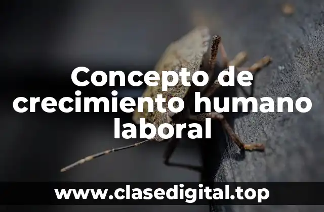 Concepto de crecimiento humano laboral