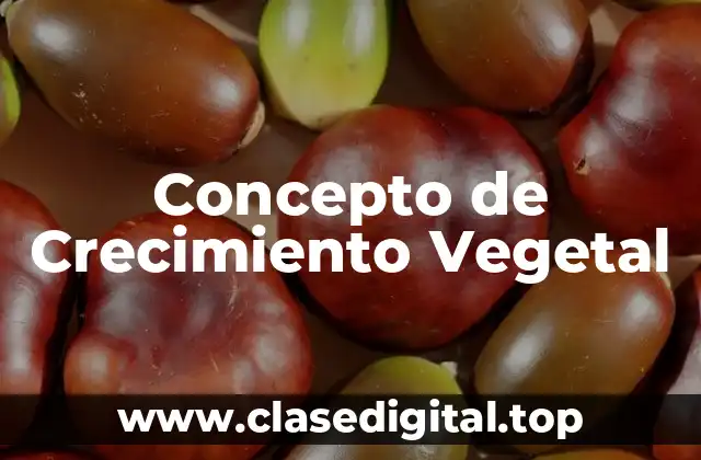Concepto de Crecimiento Vegetal