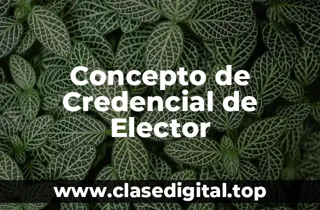 Concepto de Credencial de Elector