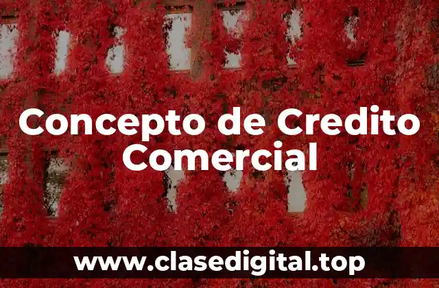 📗 Concepto de Credito Comercial