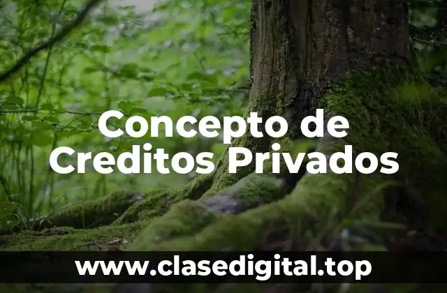 Concepto de Creditos Privados