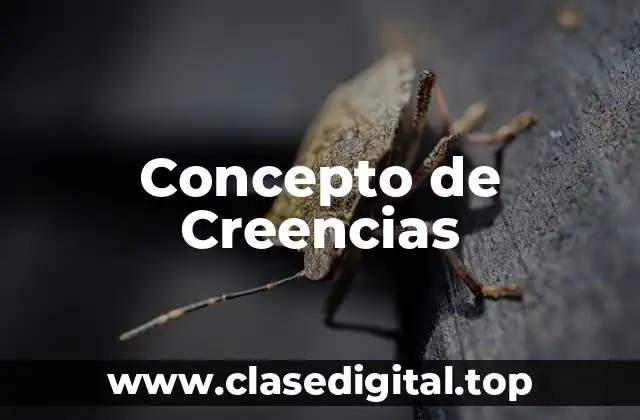 Concepto de Creencias