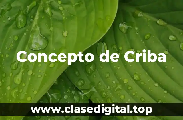 Concepto de Criba