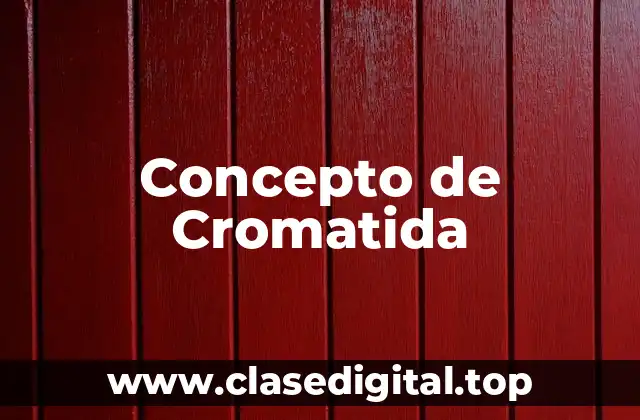 ✔️ ¿Qué es Cromatida?