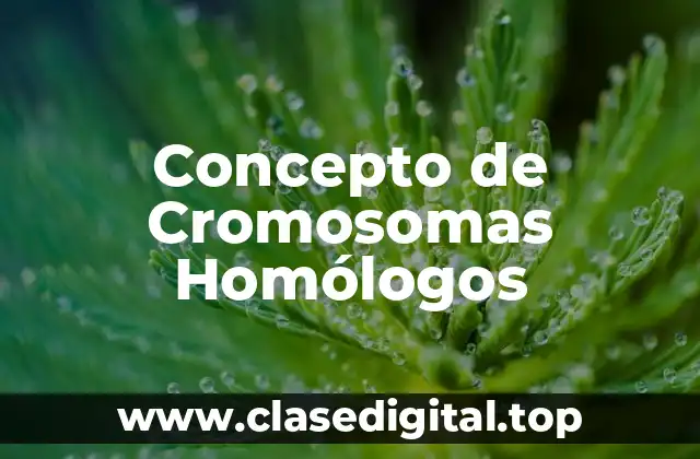 Concepto de Cromosomas Homólogos